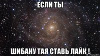 если ты шибану тая ставь лайк !