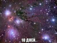  10 дней