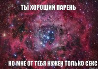 ты хороший парень но мне от тебя нужен только секс