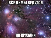 все димы ведутся на крузаки