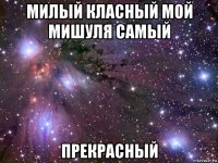 милый класный мой мишуля самый прекрасный