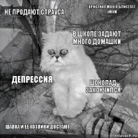 Не продают страуса Шоколад закончился В школе задают много домашки шавка и её хозяйки достают депрессия Кристина много блистает умом    