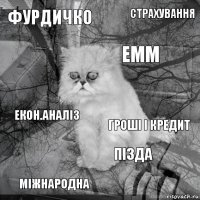 фурдичко гроші і кредит ЕММ міжнародна екон.аналіз страхування пізда   