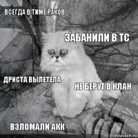 всегда в тиме раков не берут в клан забанили в тс взломали акк дриста вылетела     