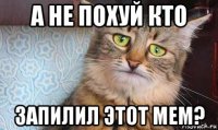 а не похуй кто запилил этот мем?