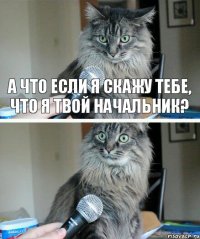 А что если я скажу тебе, что я твой начальник?