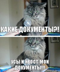 Какие документы?! Усы и хвост-мои документы!!!