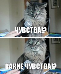 Чувства!? Какие чувства!?