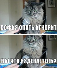 София опять игнорит Вы что издеваетесь?