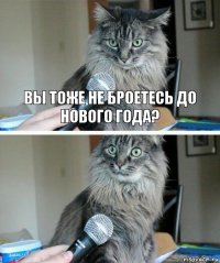 ВЫ ТОЖЕ НЕ БРОЕТЕСЬ ДО НОВОГО ГОДА? 