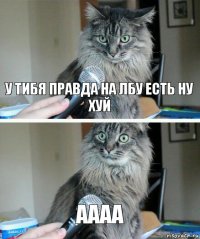 У тибя правда на лбу есть ну хуй Аааа