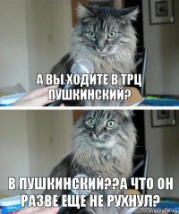 а вы ходите в трц пушкинский? в пушкинский??а что он разве еще не рухнул?