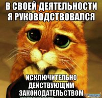 в своей деятельности я руководствовался исключительно действующим законодательством