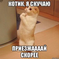 котик, я скучаю приезжаааай скорее