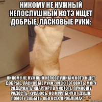 НИКОМУ не нужный НЕПОСЛУШНЫЙ котэ ищет добрые, ласковые руки: НИКОМУ не нужный НЕПОСЛУШНЫЙ котэ ищет добрые, ласковые руки: Умею готовить, могу содержать квартиру в чистоте, приношу радость, КУСАЮСЬ, но мурлычу от души, помогу забыть обо всех проблемах ^_^