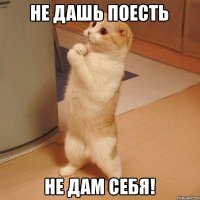 Не дашь поесть Не дам себя!