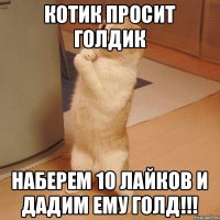 котик просит голдик наберем 10 лайков и дадим ему голд!!!