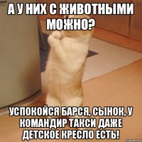 А у них с животными можно? Успокойся Барся, сынок, у Командир такси даже детское кресло есть!