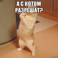 А с котом разрешат? 