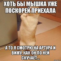 хоть бы мышка уже поскорей приехала а то я смотрю на Артура и вижу, как он по ней скучает...