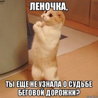 ЛЕНОЧКА, ТЫ ЕЩЕ НЕ УЗНАЛА О СУДЬБЕ БЕГОВОЙ ДОРОЖКИ?