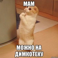 мам можно на димкотеку