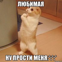 Любимая ну прости меня:*:*:*