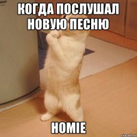 Когда послушал новую песню HOMIE