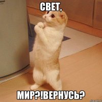 СВЕТ, МИР?!Вернусь?