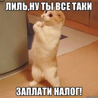 Лиль,ну ты все таки Заплати налог!