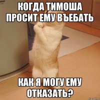 когда тимоша просит ему въебать как я могу ему отказать?