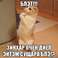 Блэт!!! зинхар очен диеп эйтэм,сущара блэ!?