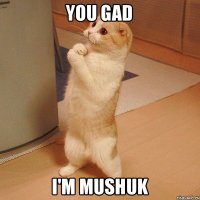 You gad I'm mushuk