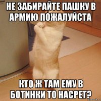 не забирайте пашку в армию пожалуйста кто ж там ему в ботинки то насрет?