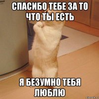 спасибо тебе за то что ты есть я безумно тебя люблю