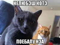 нелюбэш котэ поебалу нэа