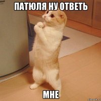 патюля ну ответь мне