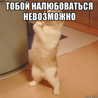 тобой налюбоваться невозможно 