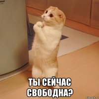  ты сейчас свободна?