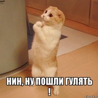  нин, ну пошли гулять !