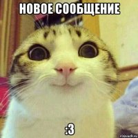 новое сообщение :3