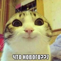  что нового??7