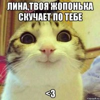 лина,твоя жопонька скучает по тебе <3