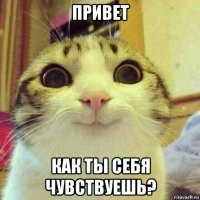 привет как ты себя чувствуешь?