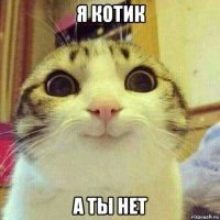 я котик а ты нет