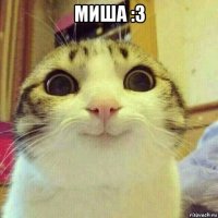 миша :3 