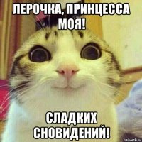 лерочка, принцесса моя! сладких сновидений!