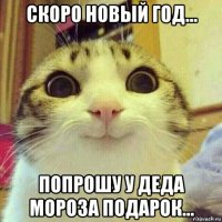 скоро новый год... попрошу у деда мороза подарок...