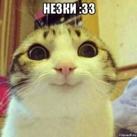 незки :33 