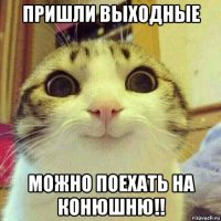 пришли выходные можно поехать на конюшню!!